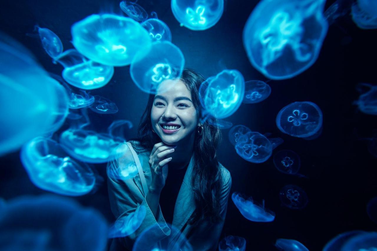 Resorts World Sentosa - Hotel Singapur Dış mekan fotoğraf A visitor at the aquarium
