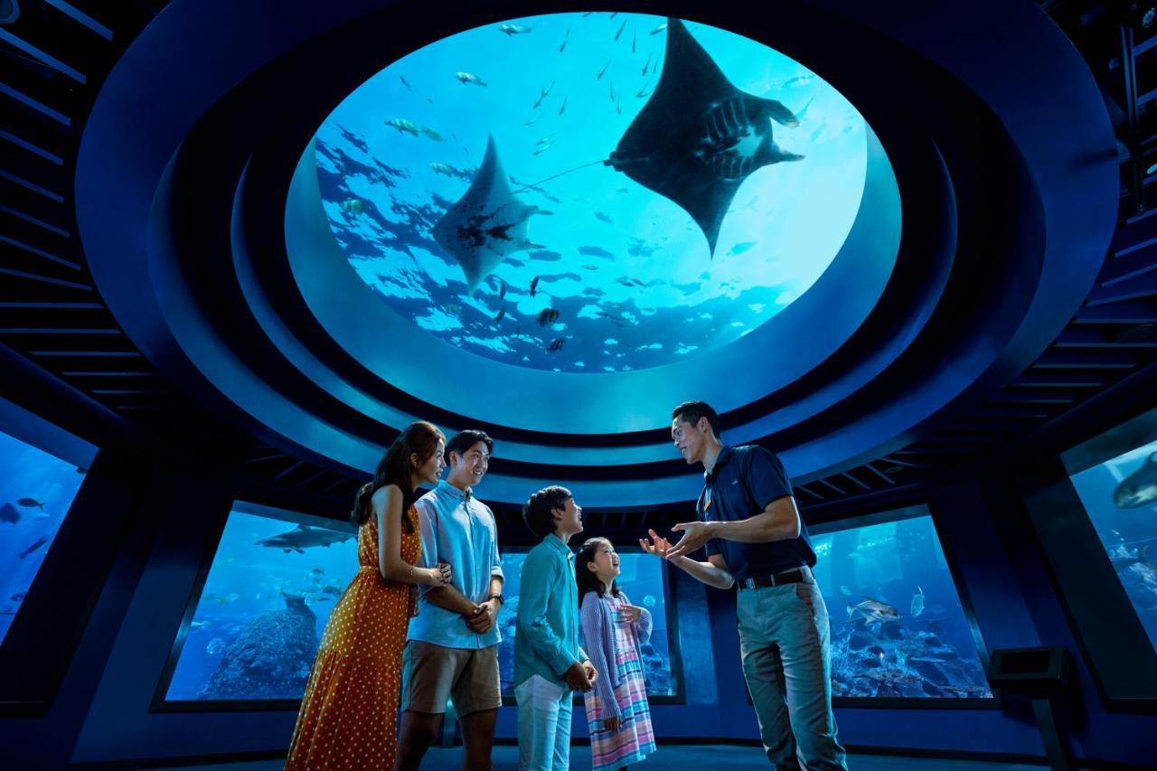 Resorts World Sentosa - Hotel Singapur Dış mekan fotoğraf The Lost Chambers Aquarium
