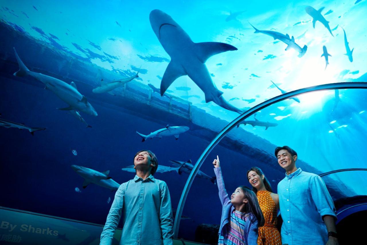 Resorts World Sentosa - Hotel Singapur Dış mekan fotoğraf The Lost Chambers Aquarium