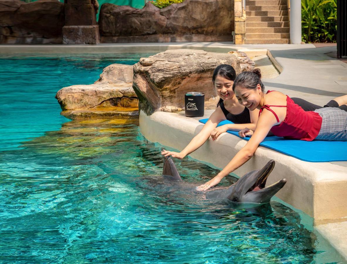 Resorts World Sentosa - Hotel Singapur Dış mekan fotoğraf Dolphin Interaction