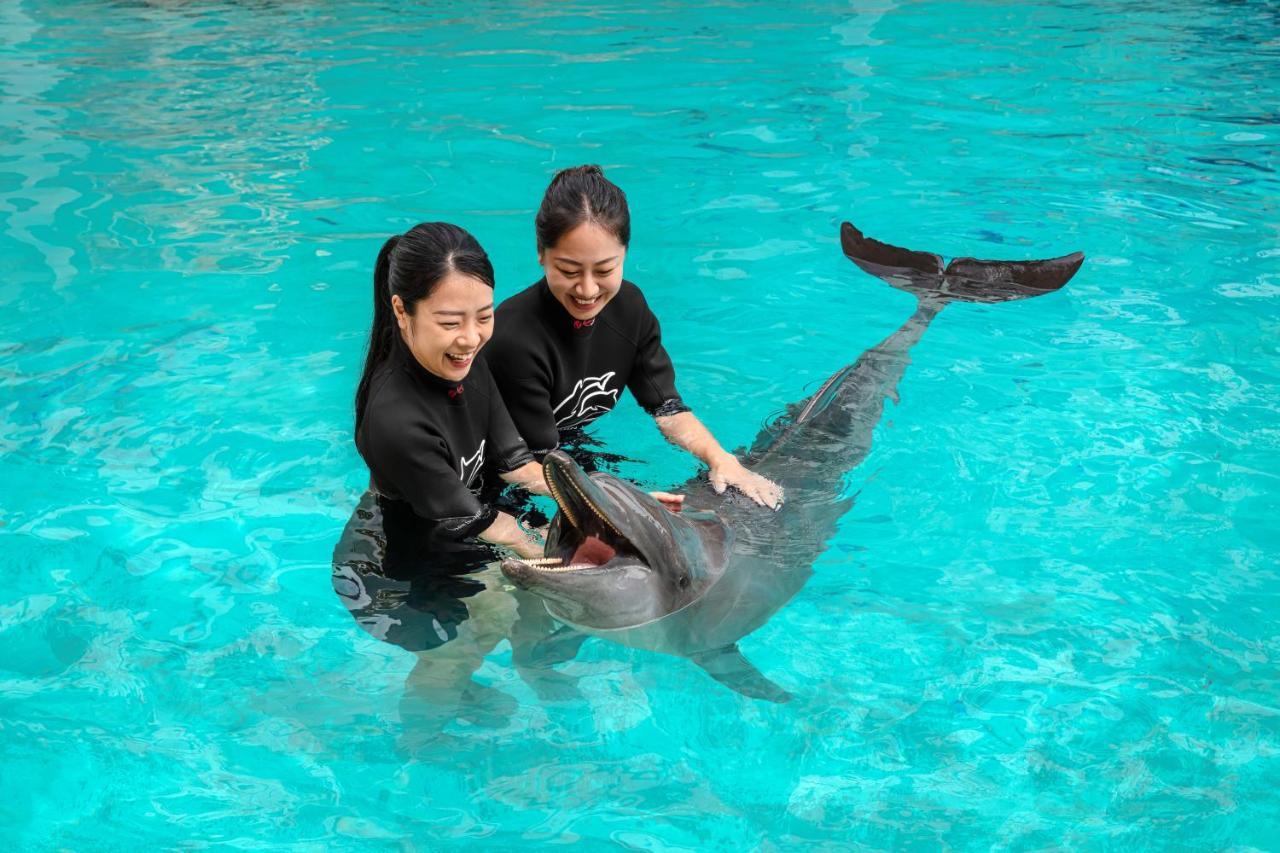 Resorts World Sentosa - Hotel Singapur Dış mekan fotoğraf Dolphin show at SeaWorld